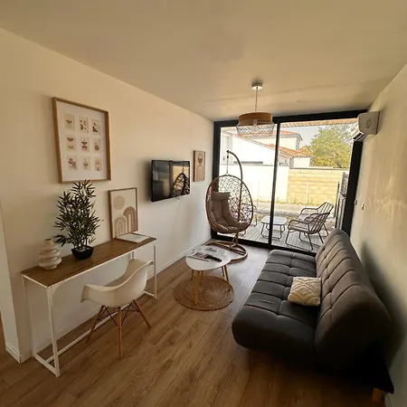 Apartman Climatise Avec Terrasse Et Parking Albi