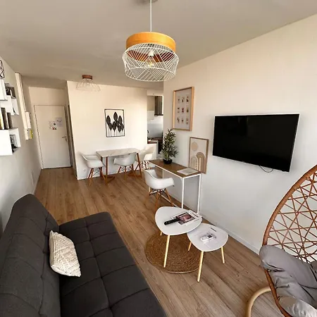 Appartamento Climatisé Avec Terrasse Et Parking Albi